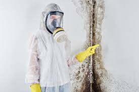 Mold Removal for HVAC Installations in Glen Ellen, CA